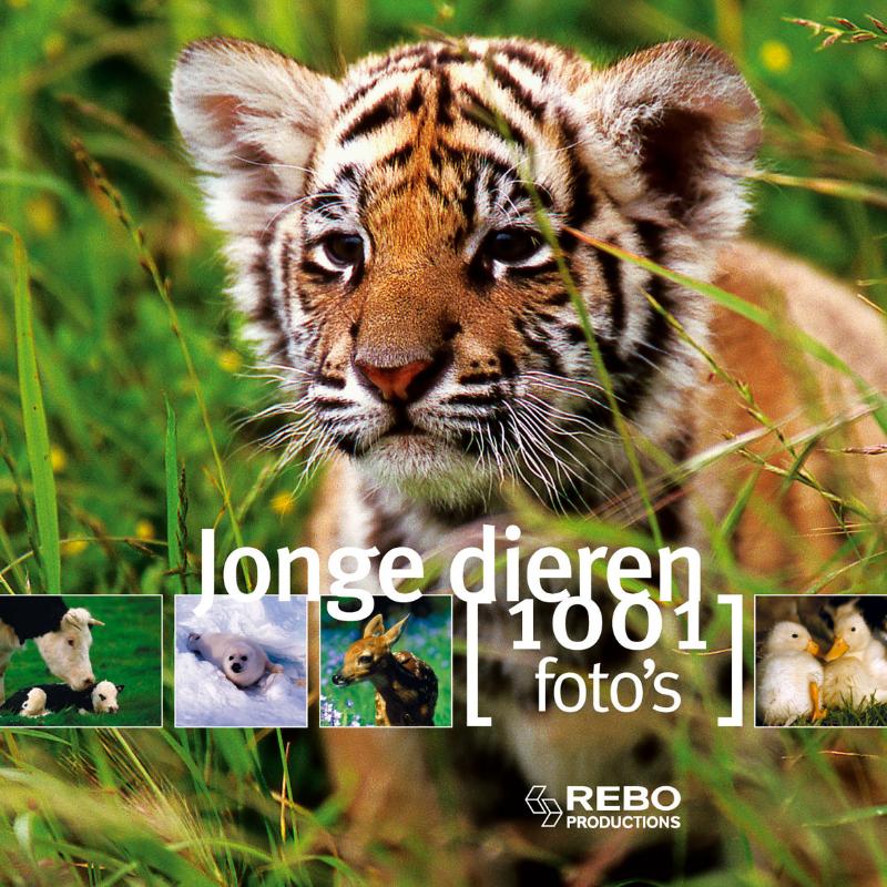 Jonge Dieren 1001 Foto's