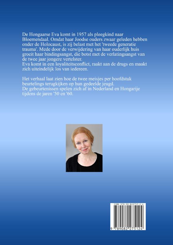 Het huis op de heuvel achterkant