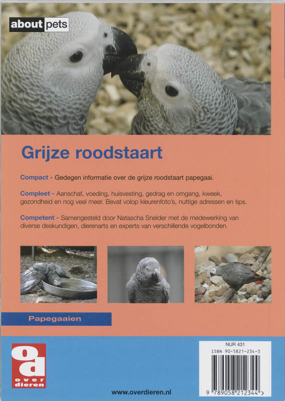 De grijze roodstaartpapegaai achterkant