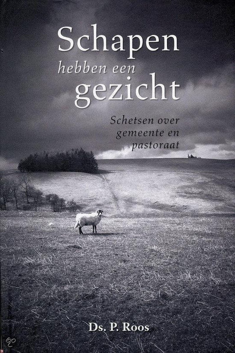 Schapen Hebben Een Gezicht