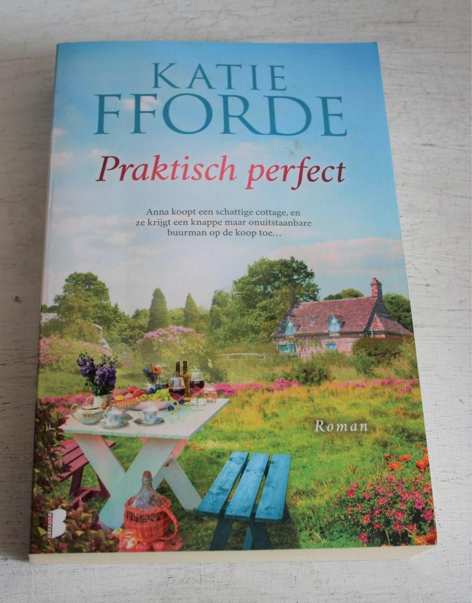 Praktisch perfect - Katie Fforde