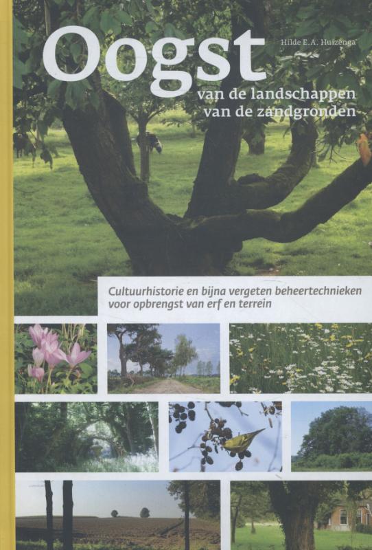Oogst van de landschappen van de zandgronden