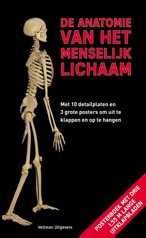 De anatomie van het menselijk lichaam