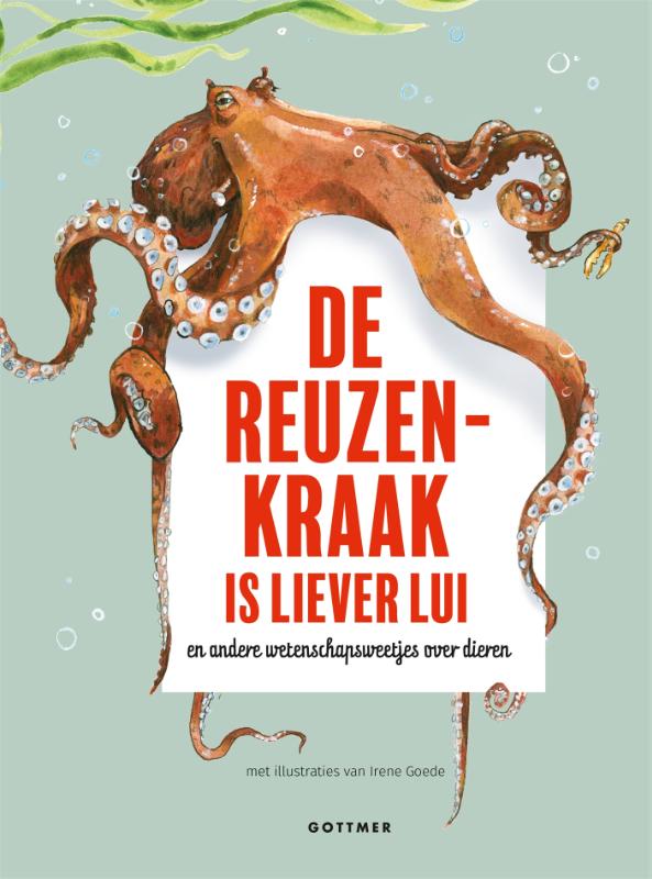 De reuzenkraak is liever lui