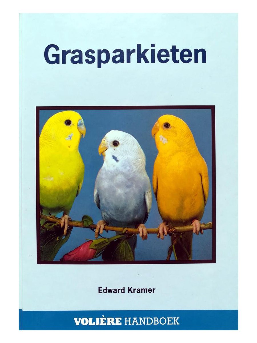 Grasparkieten