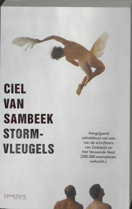 Stormvleugels