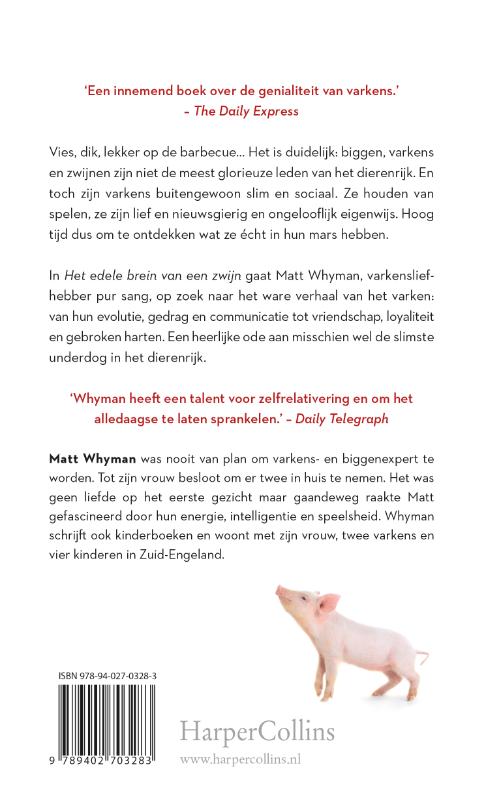 Het edele brein van een zwijn achterkant