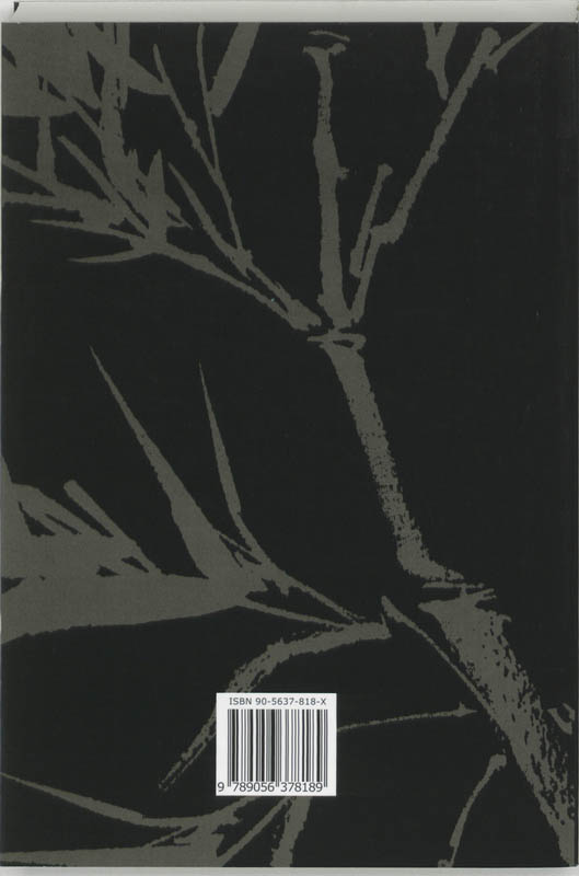 De Draagbare I Ching achterkant