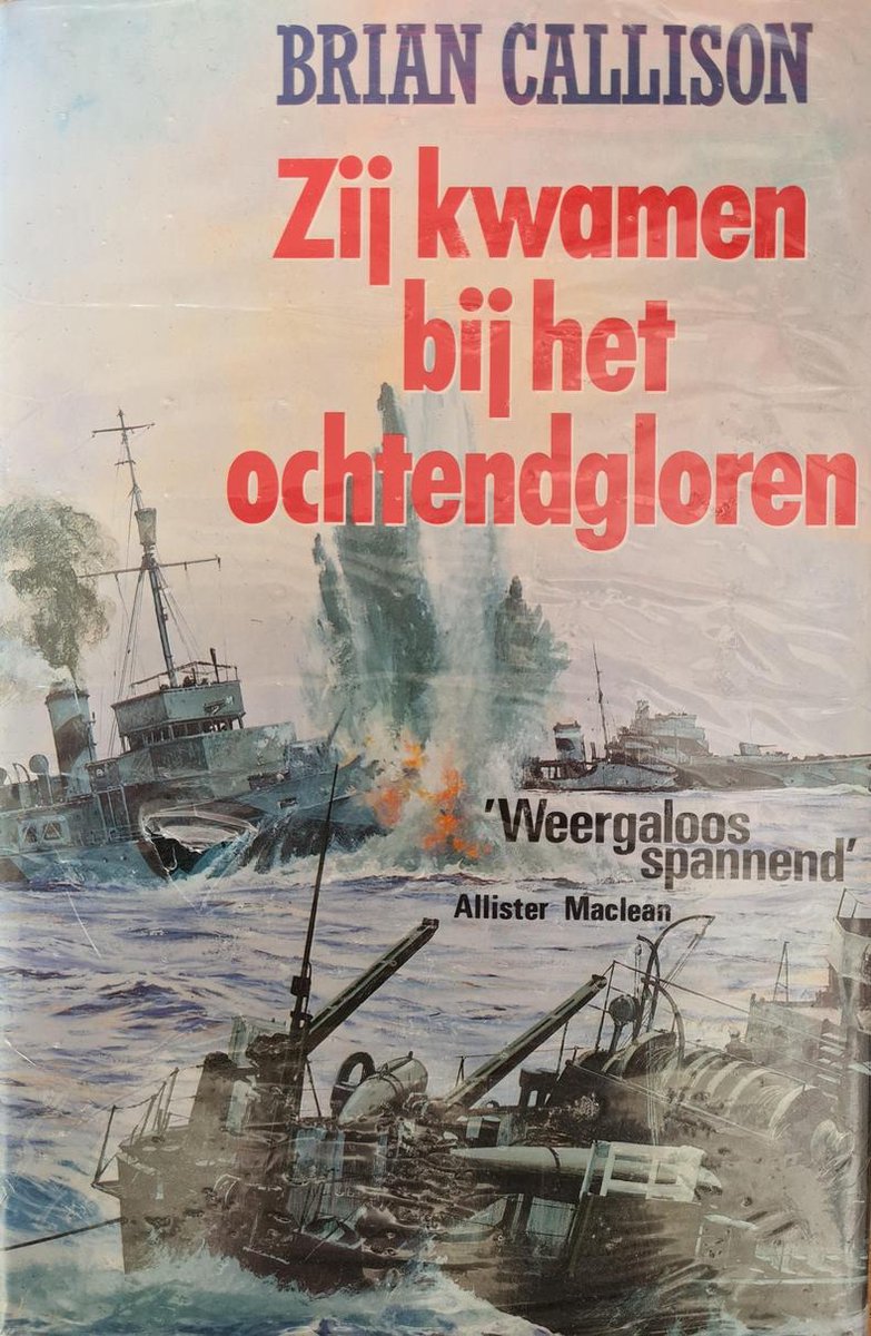 Zij kwamen bij het ochtendgloren. - Brian Callison.