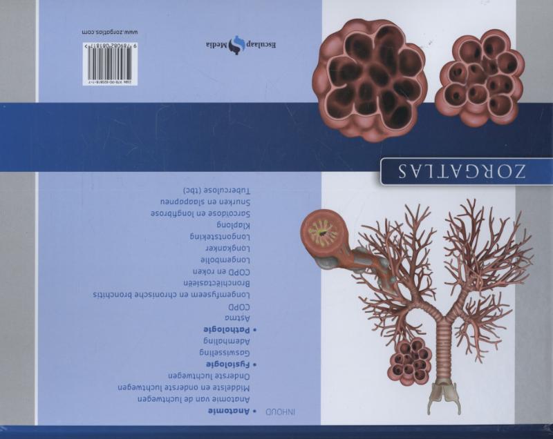 Zorgatlas  -   Longziekten achterkant