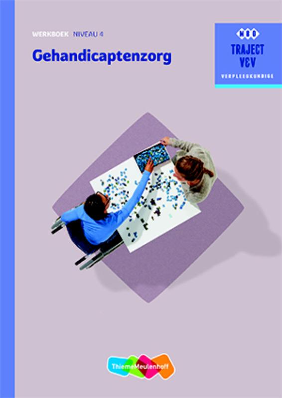 Traject V&V  - Gehandicaptenzorg niveau 4 Werkboek
