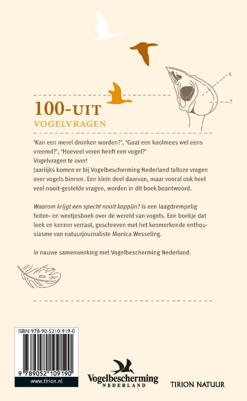 Waarom krijgt een specht geen koppijn achterkant