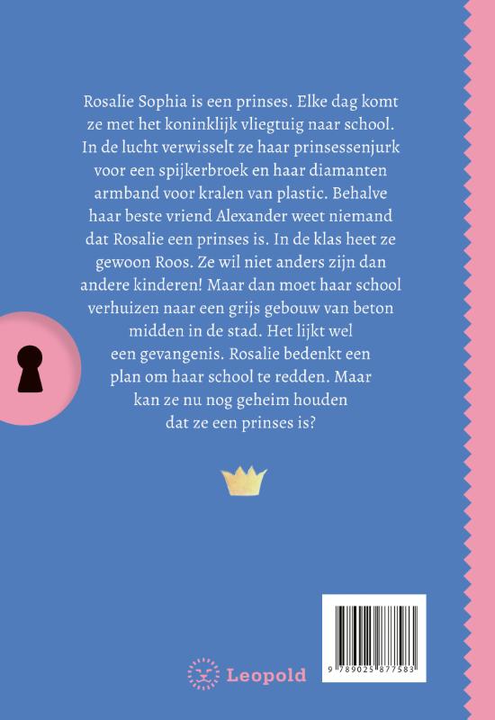 Het geheim van de stoere prinses / Geheim van… achterkant