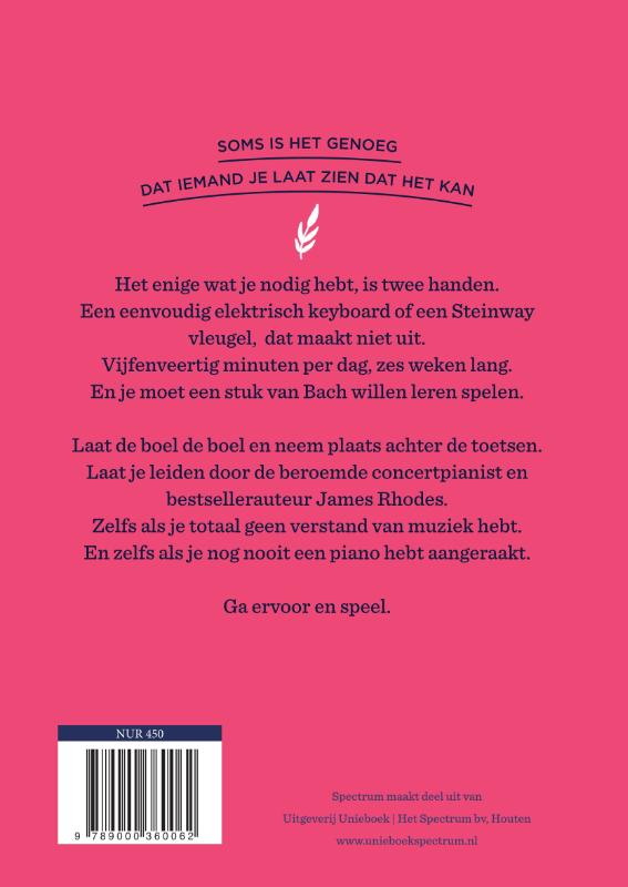 Little ways to live a big life  -   Hoe speel je piano? achterkant