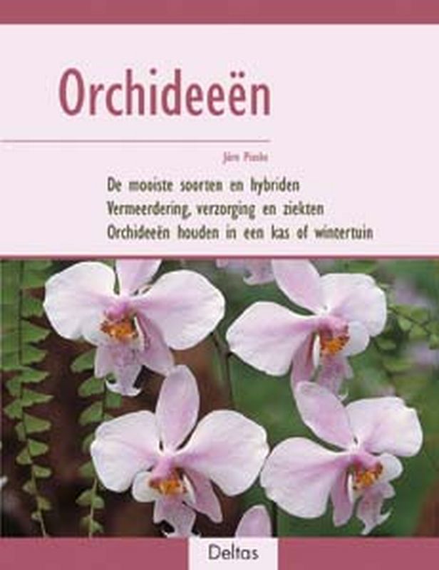 Orchideeen