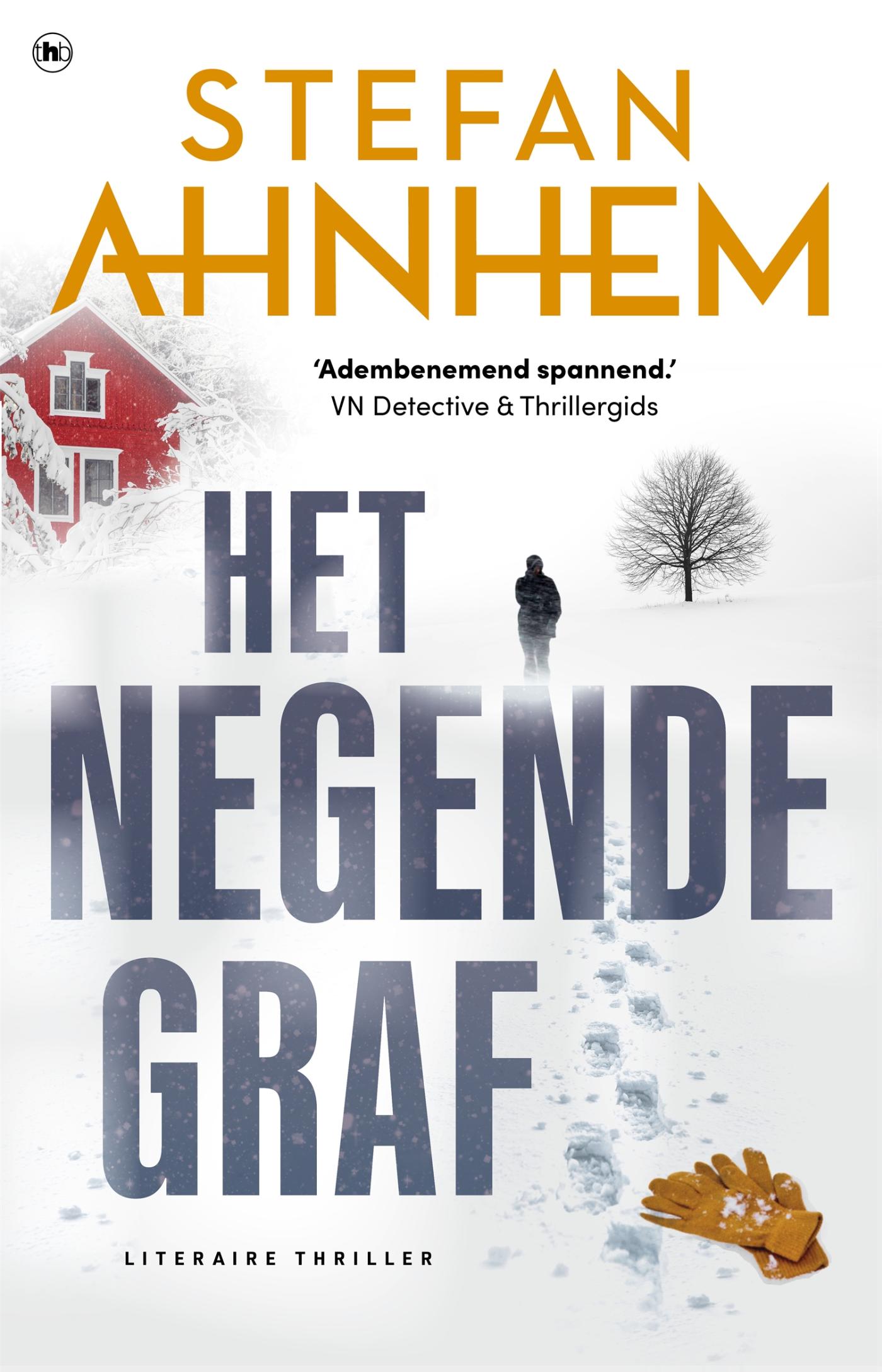 Het negende graf / Fabian Risk / 2