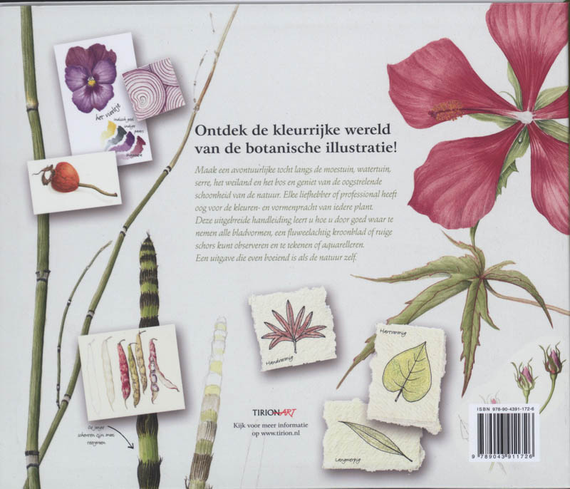 Botanische kunst achterkant