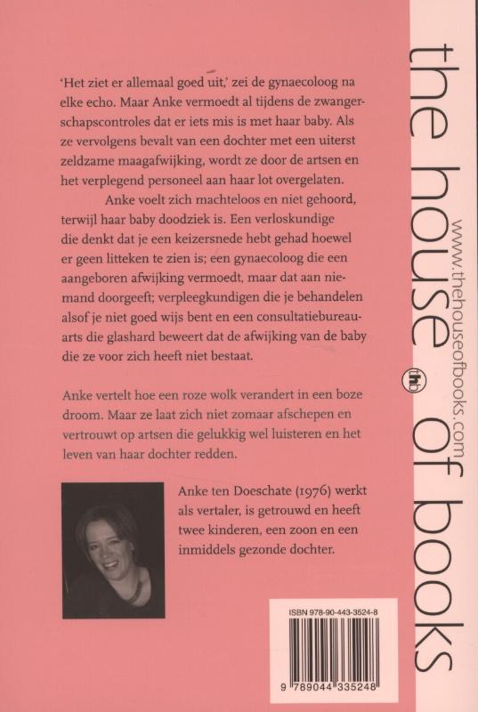 Het ziet er allemaal goed uit - Anke ten Doeschate achterkant