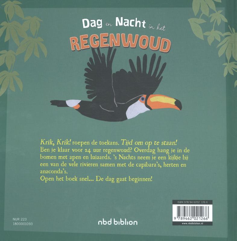 Een dag en nacht in het regenwoud achterkant