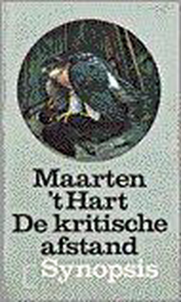 De kritische afstand / Synopsis
