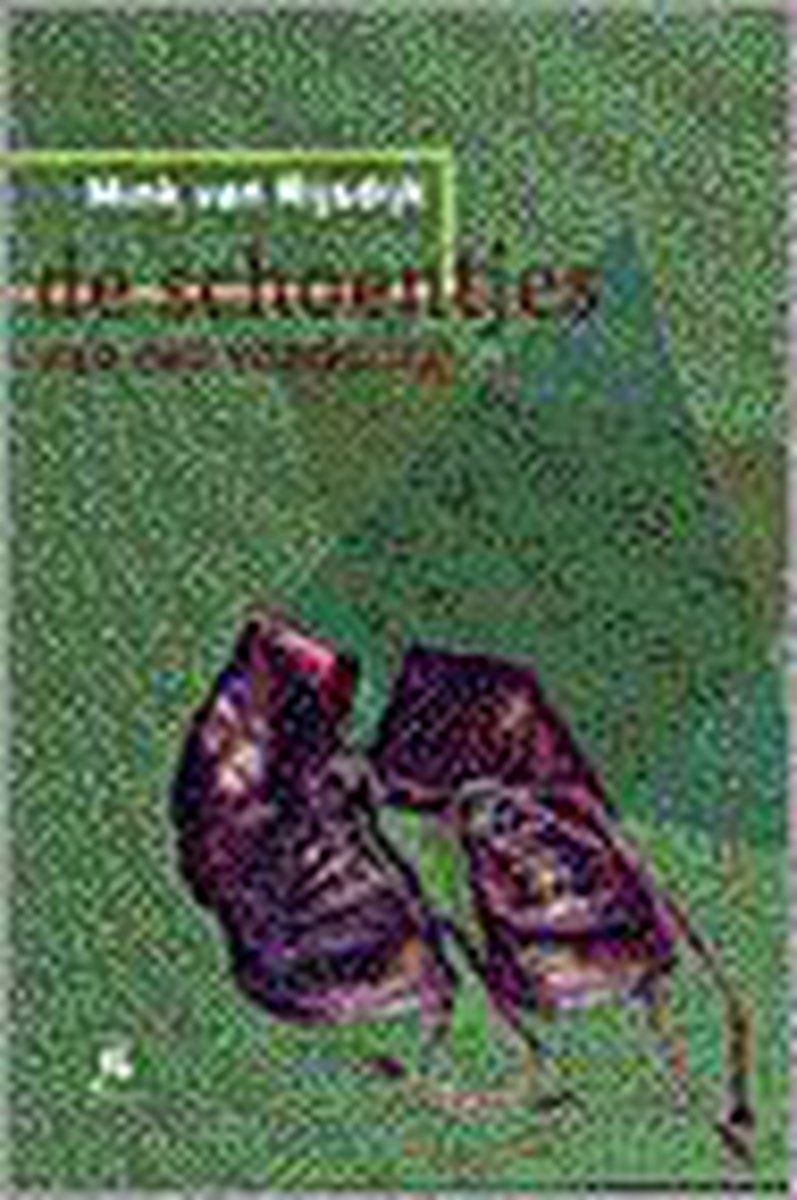 Schoentjes van de vondeling