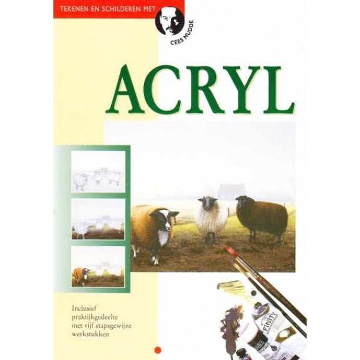 Acryl / Tekenen en schilderen met Cees Mudde