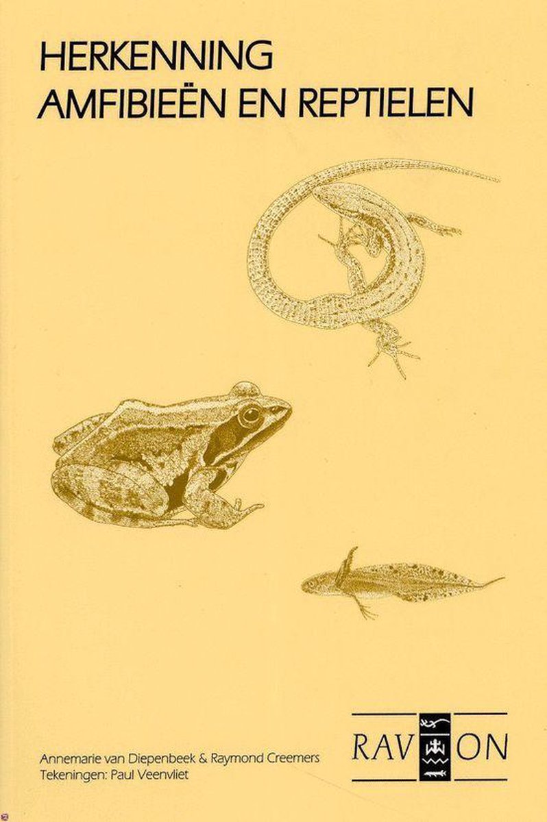 Herkenning Amfibieen En Reptielen