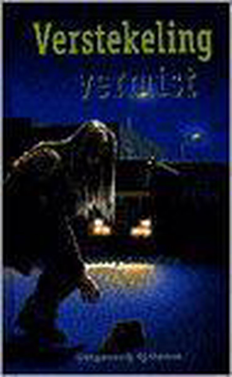 Verstekeling vermist