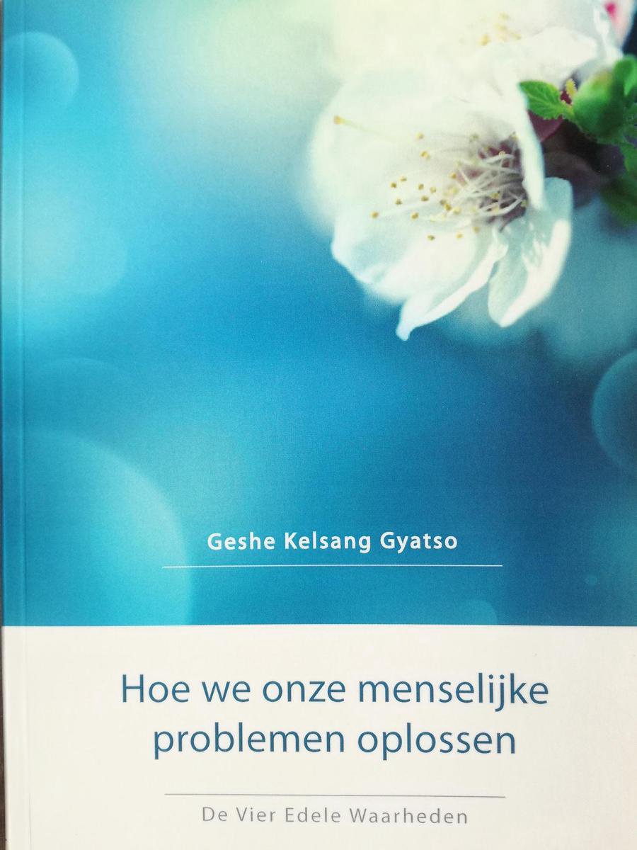 Hoe we onze menselijke problemen oplossen