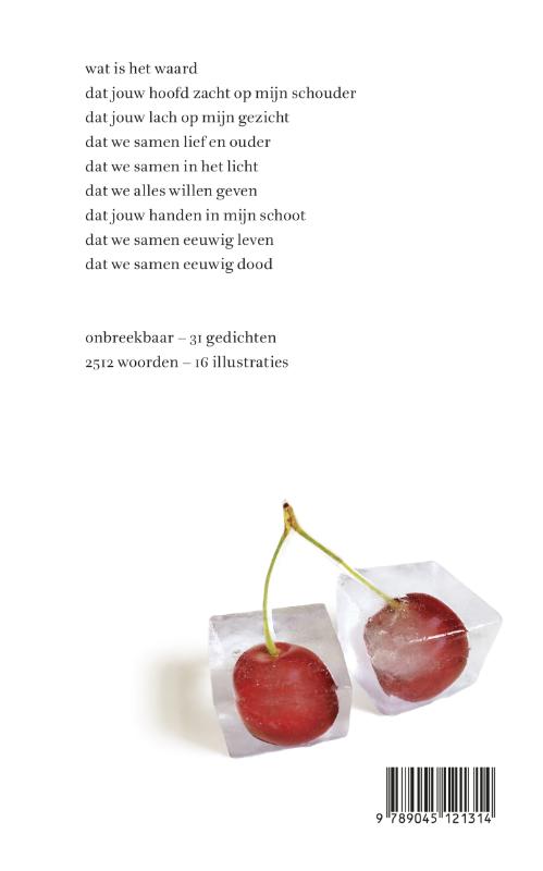 Onbreekbaar achterkant