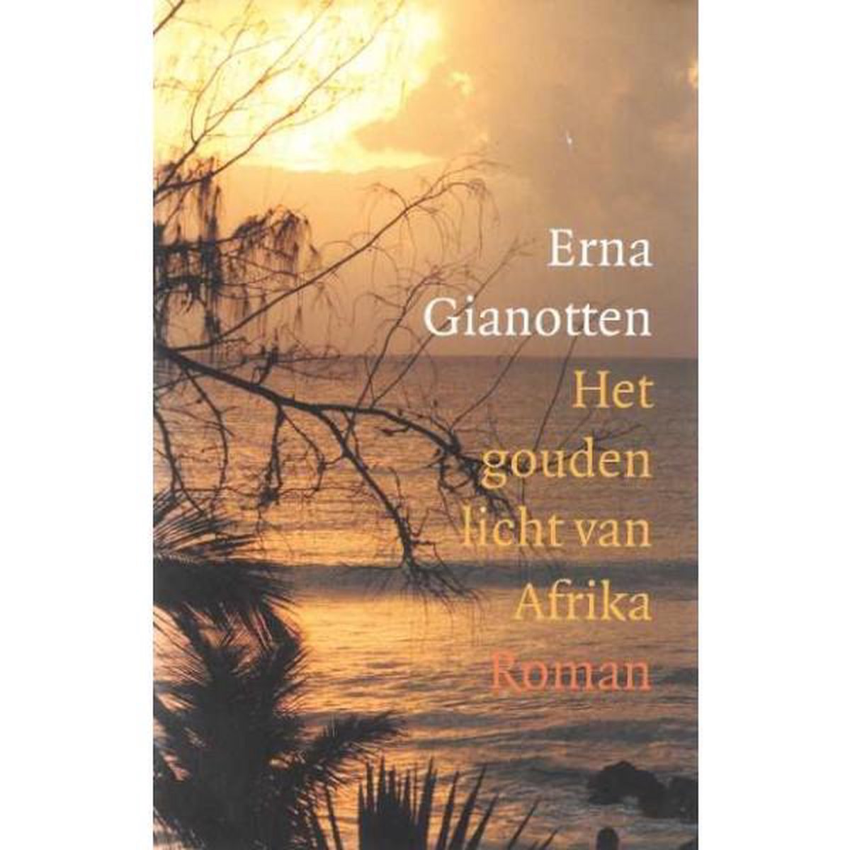 Gouden Licht Van Afrika