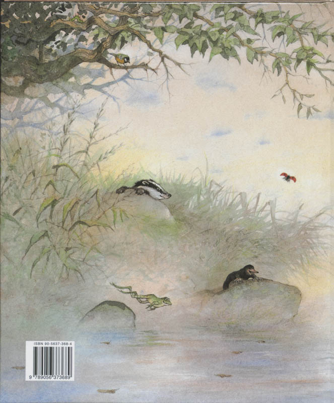 Er kan nog meer bij achterkant