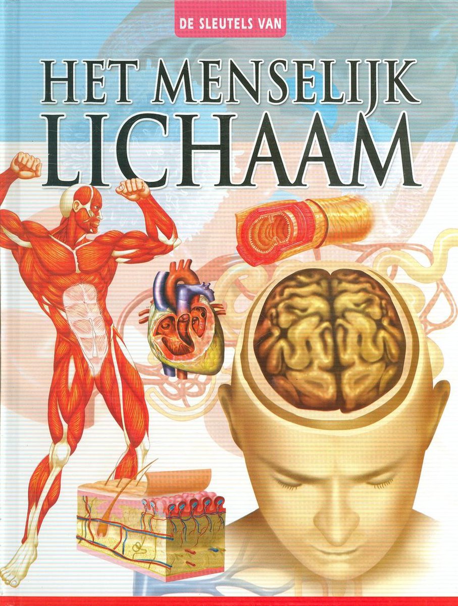 Het menselijk lichaam