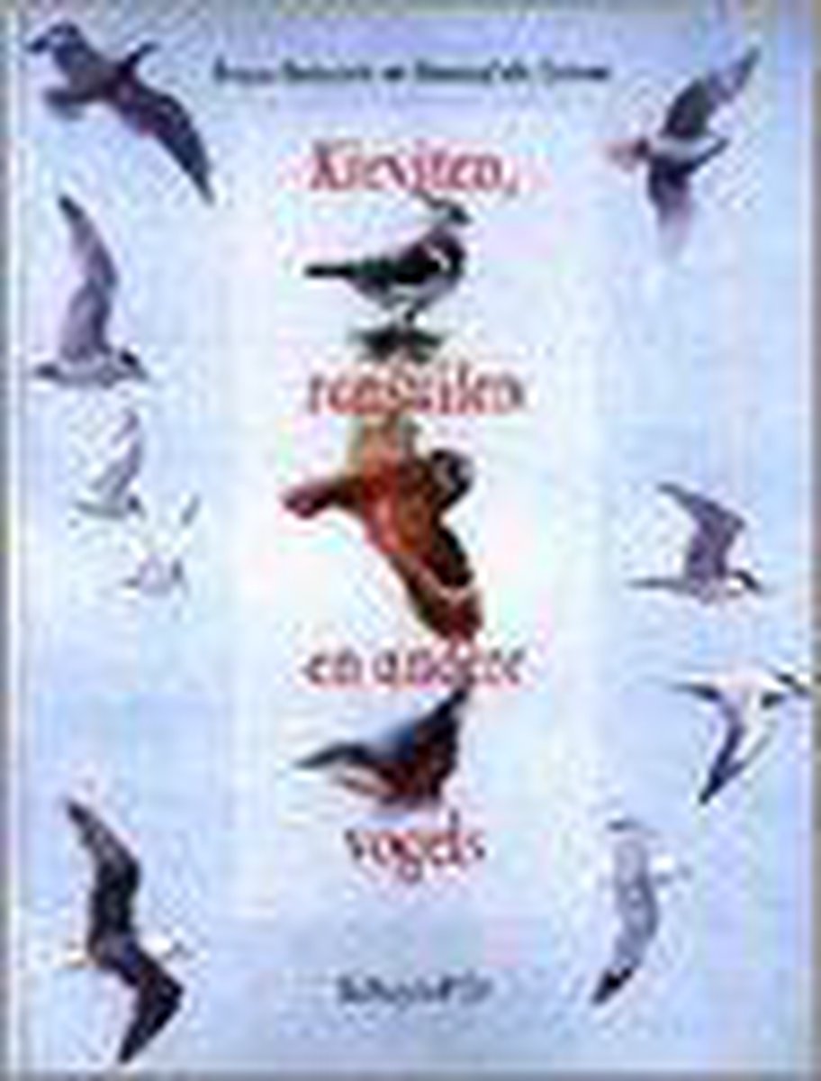 Kieviten Ransuilen En Andere Vogels