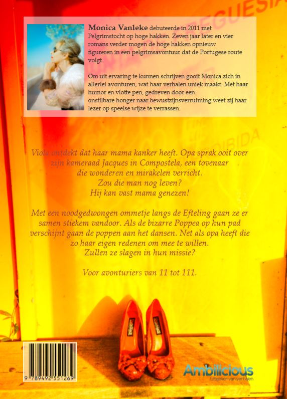 De Tovenaar van Compostela achterkant