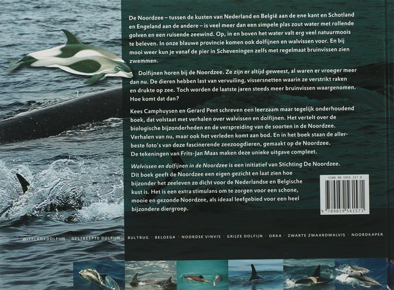 Walvissen In De Zuidelijke Noordzee achterkant