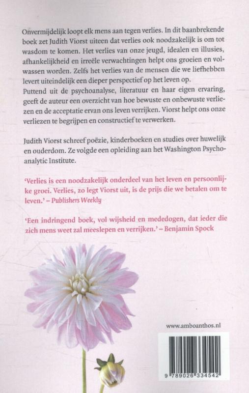 Noodzakelijk verlies achterkant