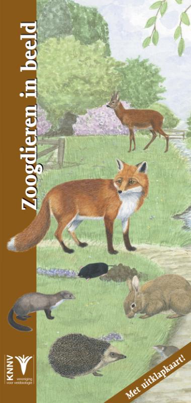 Zoogdieren in beeld / In beeld / 25