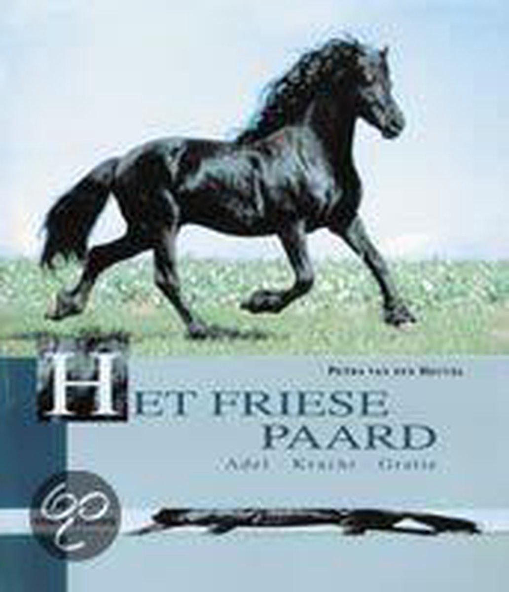 Friese Paard