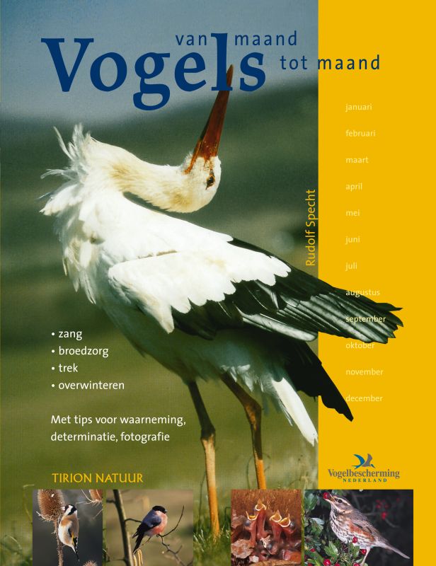 Vogels Van Maand Tot Maand