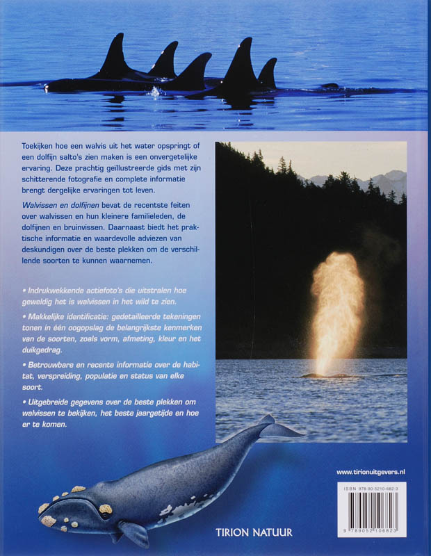 Walvissen En Dolfijnen achterkant
