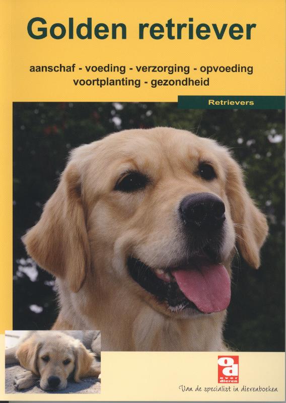 De golden retriever / Over Dieren