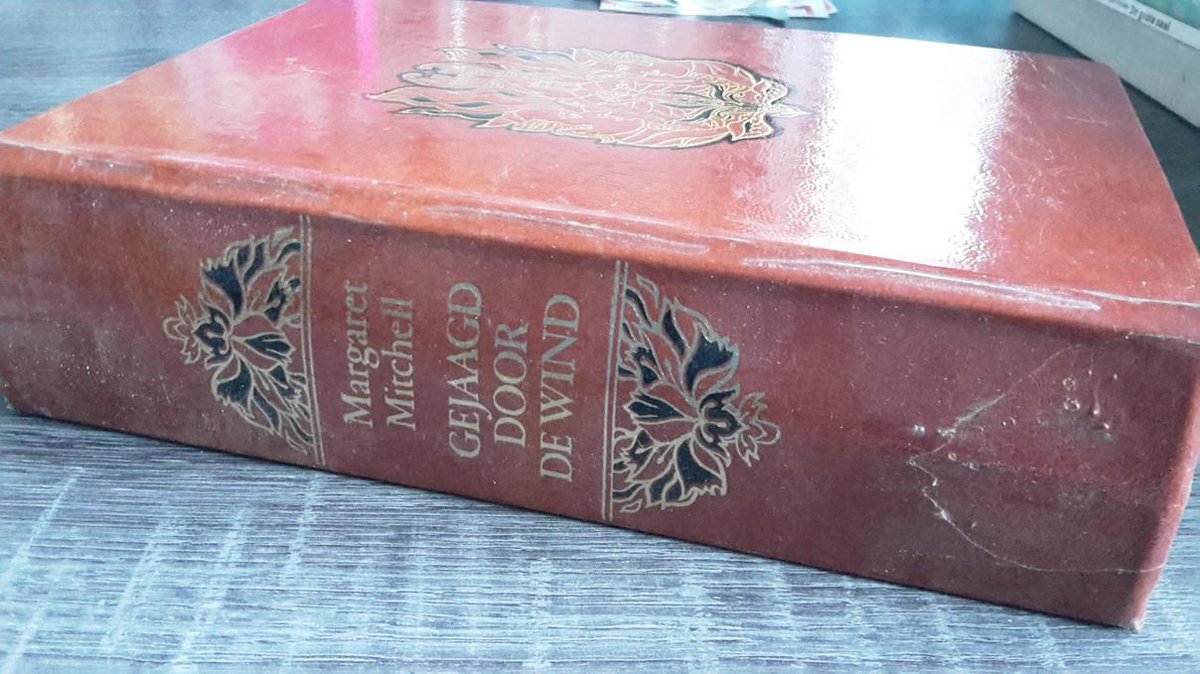 Gejaagd door de wind