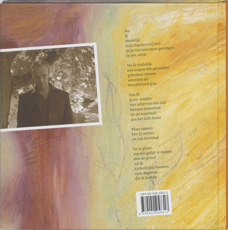 Gebroken Zinnen achterkant