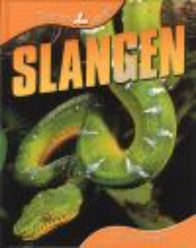 Dierenleven  -   Slangen