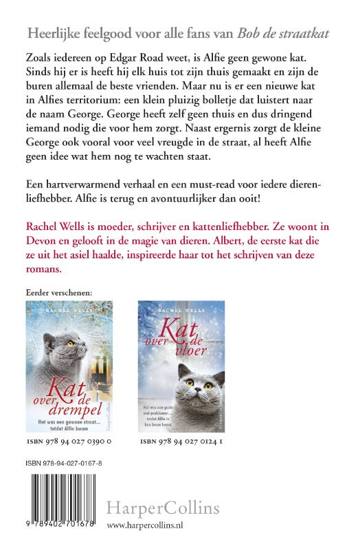 Kat voor de deur achterkant