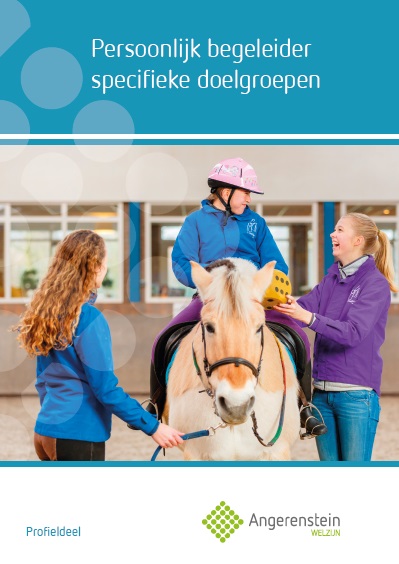 Persoonlijk begeleider specifieke doelgroepen / Angerenstein Welzijn
