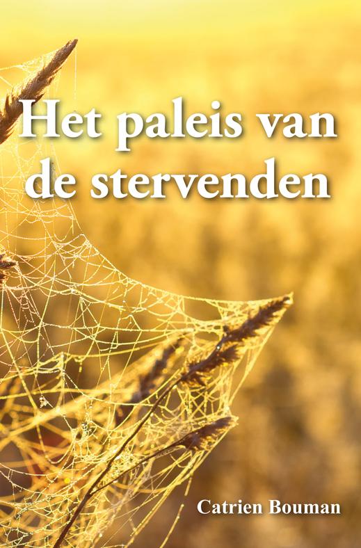 Het paleis van de stervenden