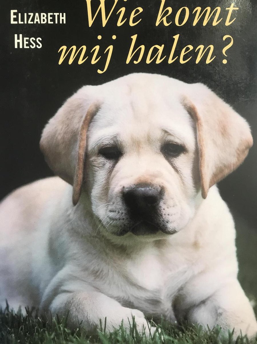 Wie komt mij halen ?