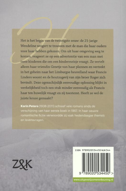 Slechts een droom achterkant